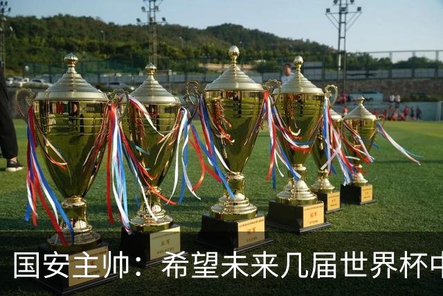 国安主帅：希望未来几届世界杯中能看到中国男足的身影